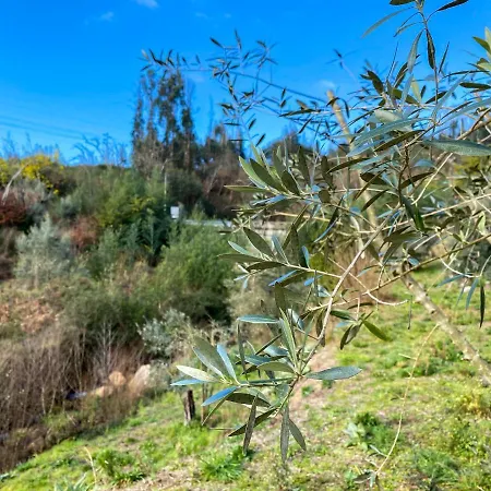 Encosta Do Sol * Canas de Senhorim