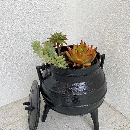Encosta Do Sol Apartamento